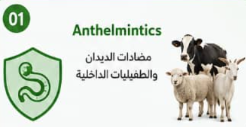 مضادات الطفيليات الداخلية