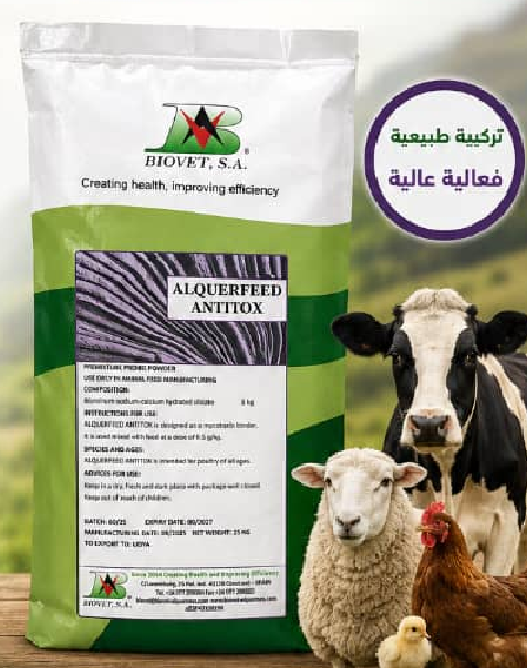 انتى توكس
